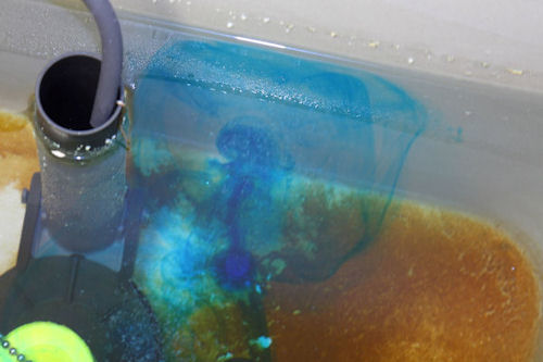Toilet tank with lid removed showing dye tablet placement
