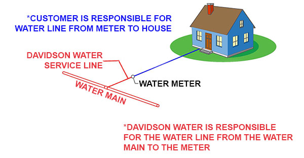 Diagram showing the member's responsibility beginning at the water meter connection